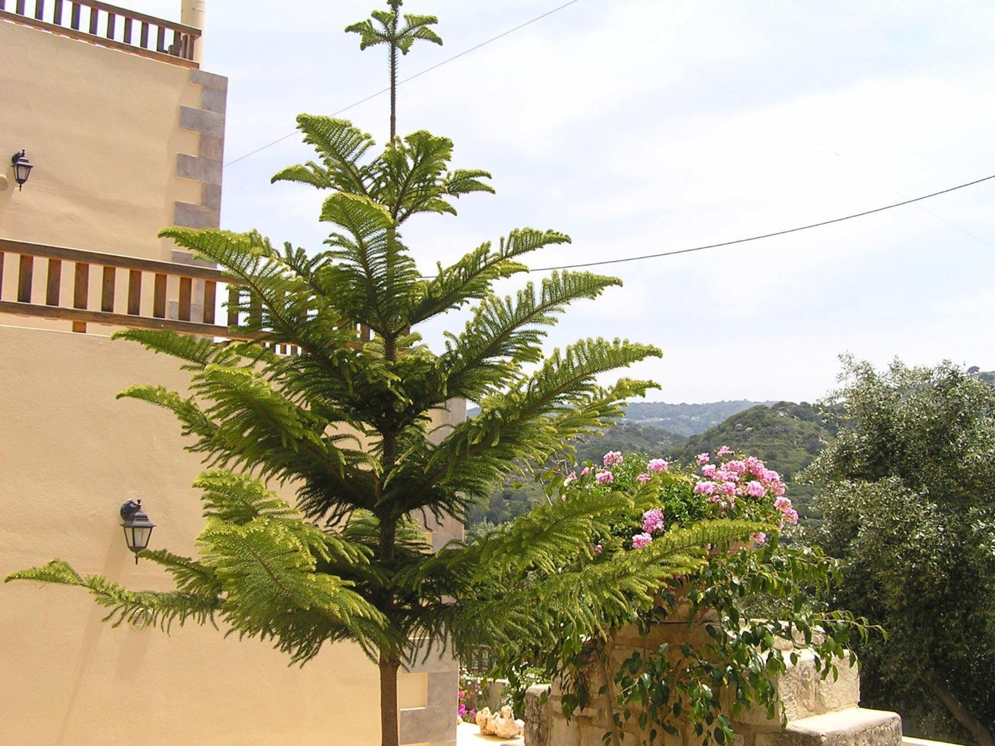 Stratos Villas Kaloniktis Exterior foto